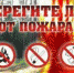 article383.jpg - Прокуратура